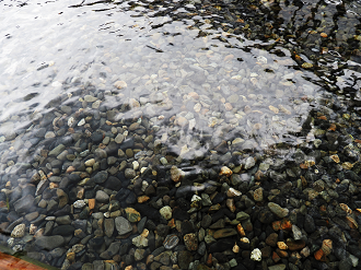 P7290021_thumb.png