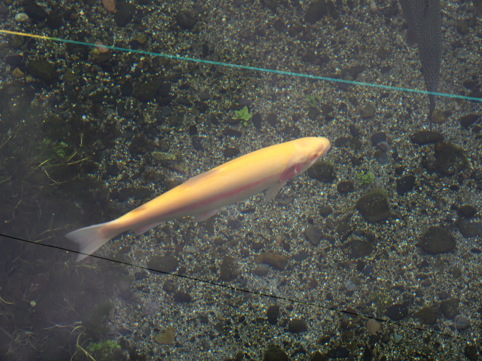 P7290028.jpg