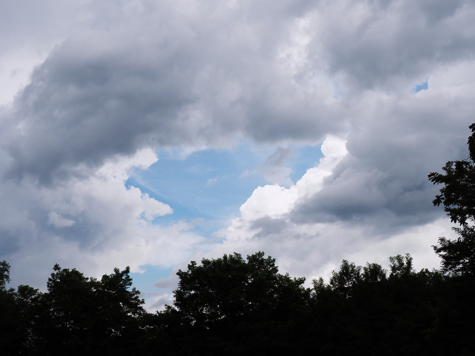 P7290043.jpg
