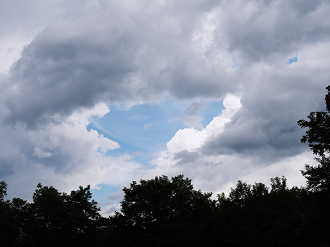 P7290043_thumb.png