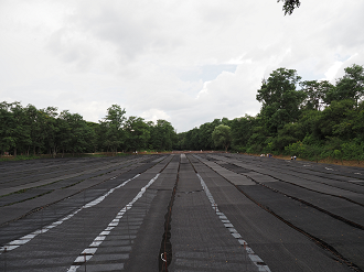 P7290050_thumb.png