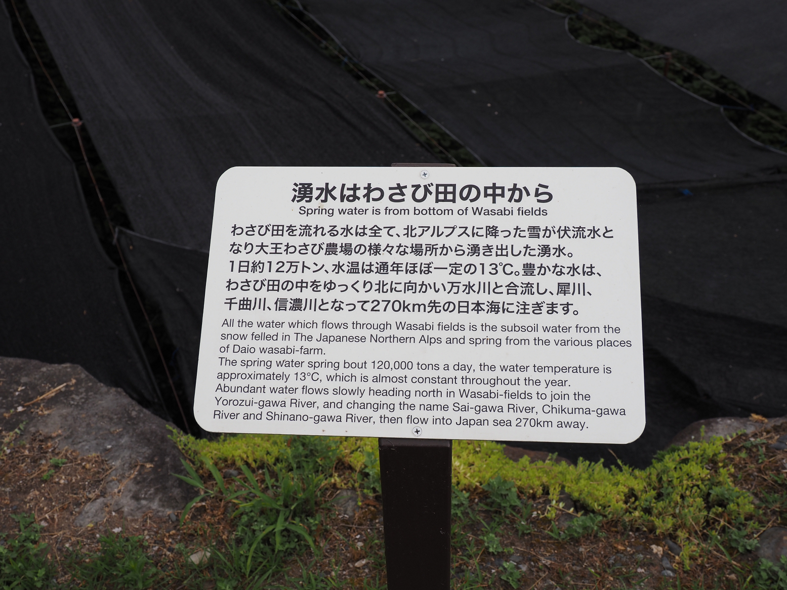 P7290051.jpg