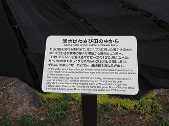 P7290051_thumb.png