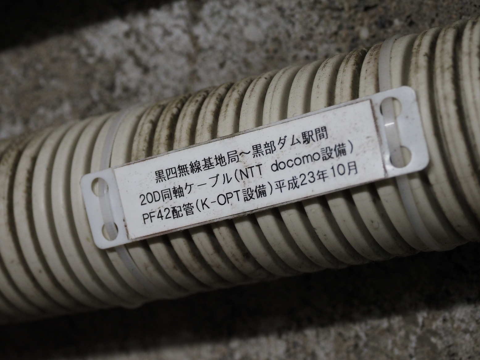 P7290103.jpg