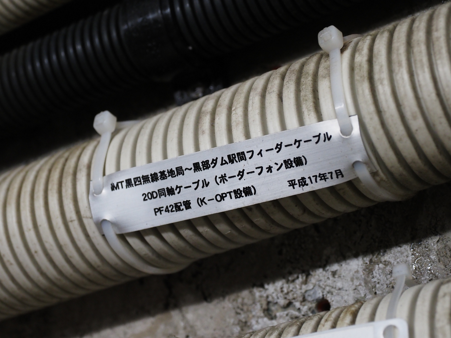 P7290105.jpg