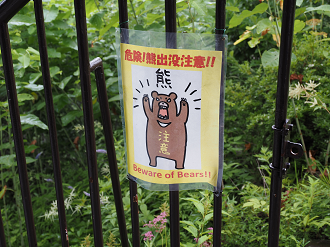 P7290123_thumb.png