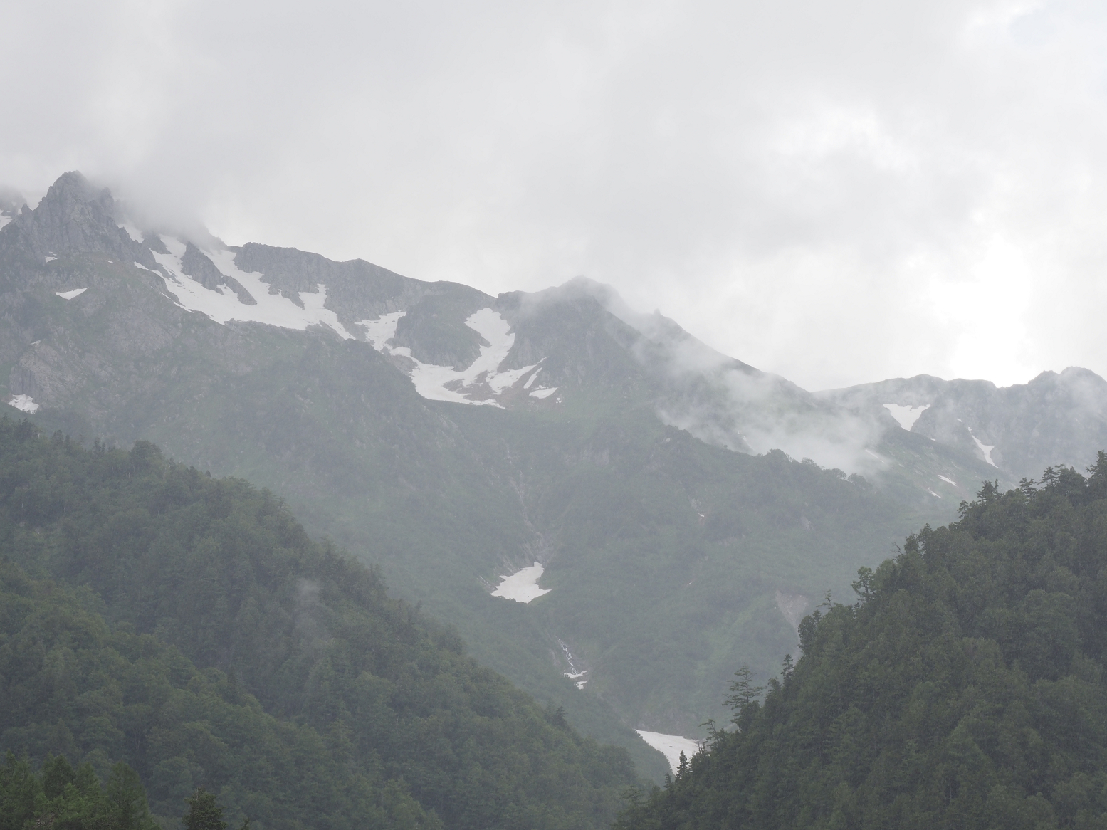 P7290151.jpg