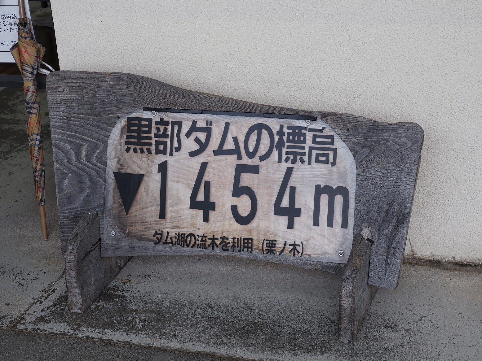 P7290153.jpg