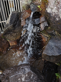 P7290178_thumb.png