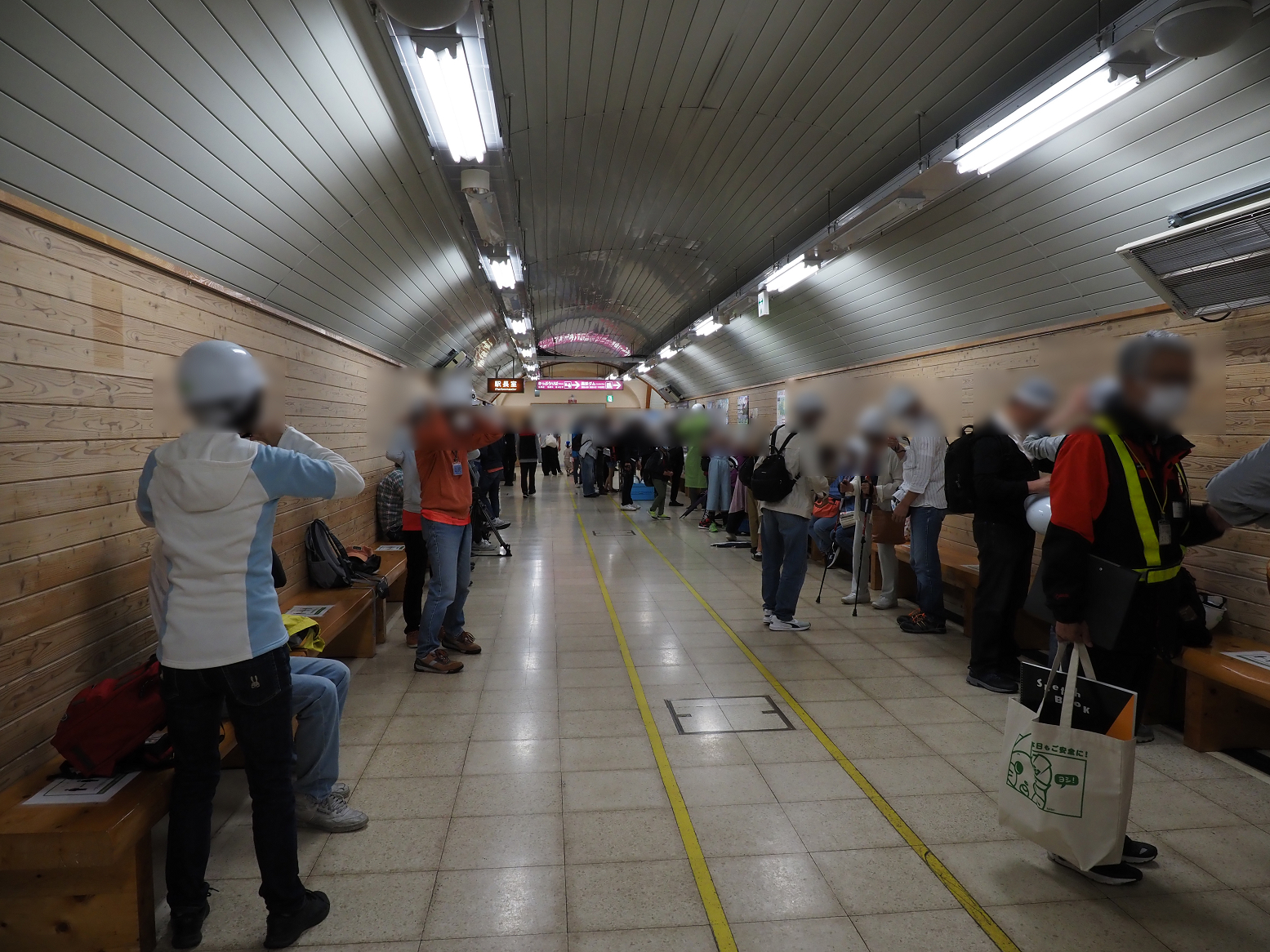 P7290184.jpg