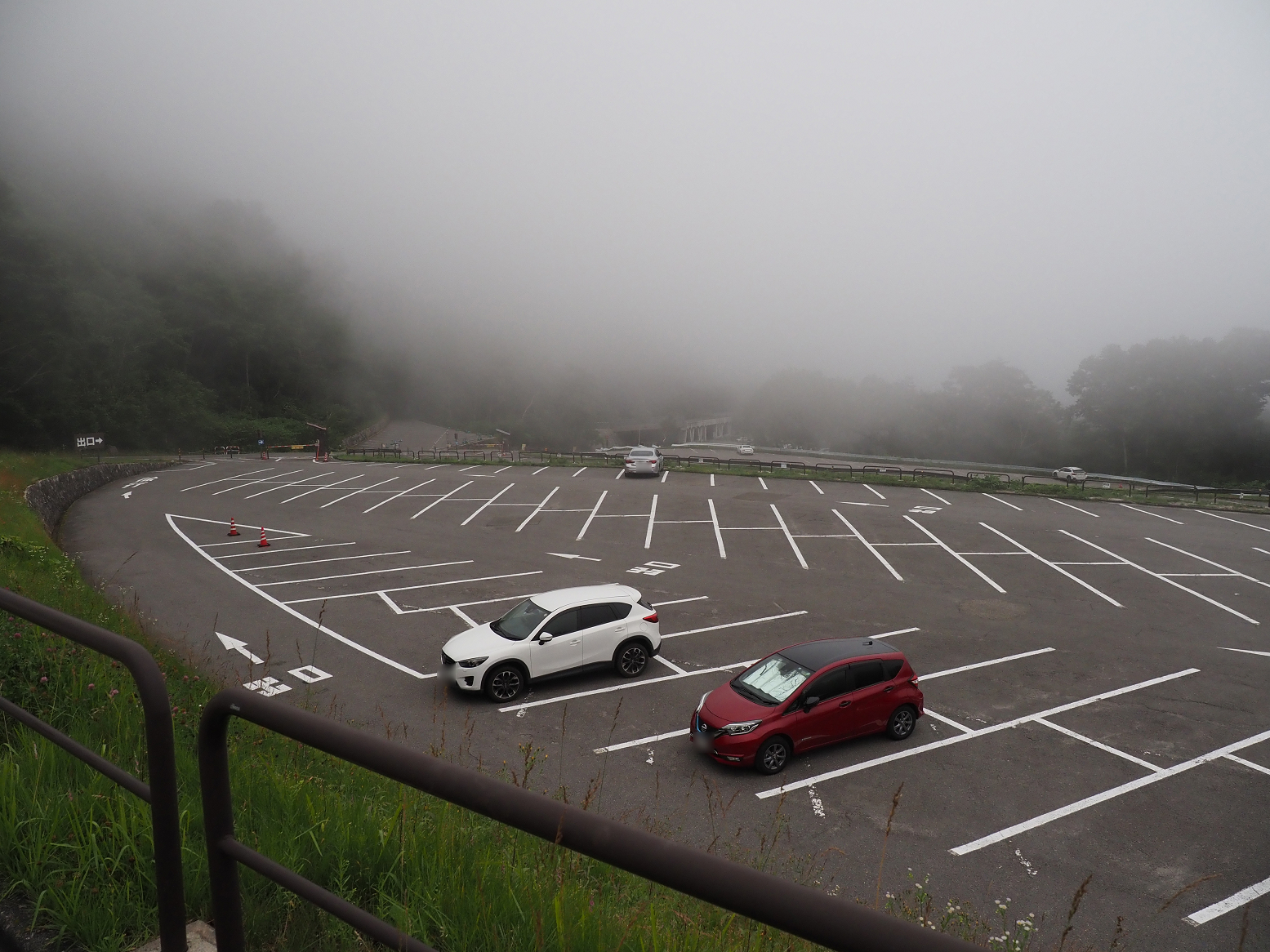 P7290254.jpg