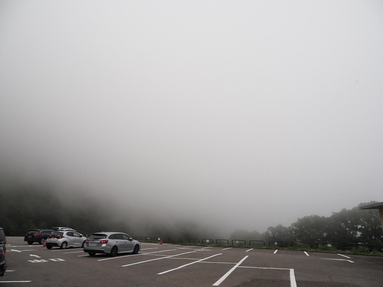 P7290258-01.jpg
