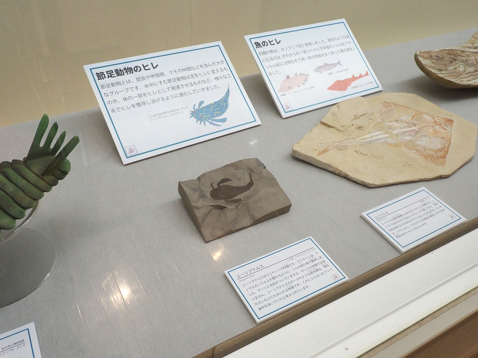 P8090015.jpg