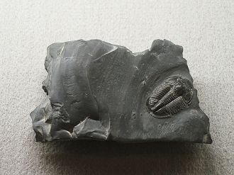 P8090022_thumb.png