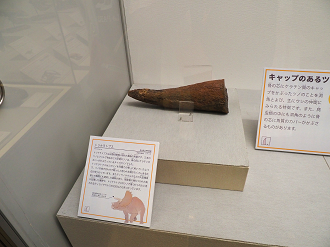 P8090035_thumb.png