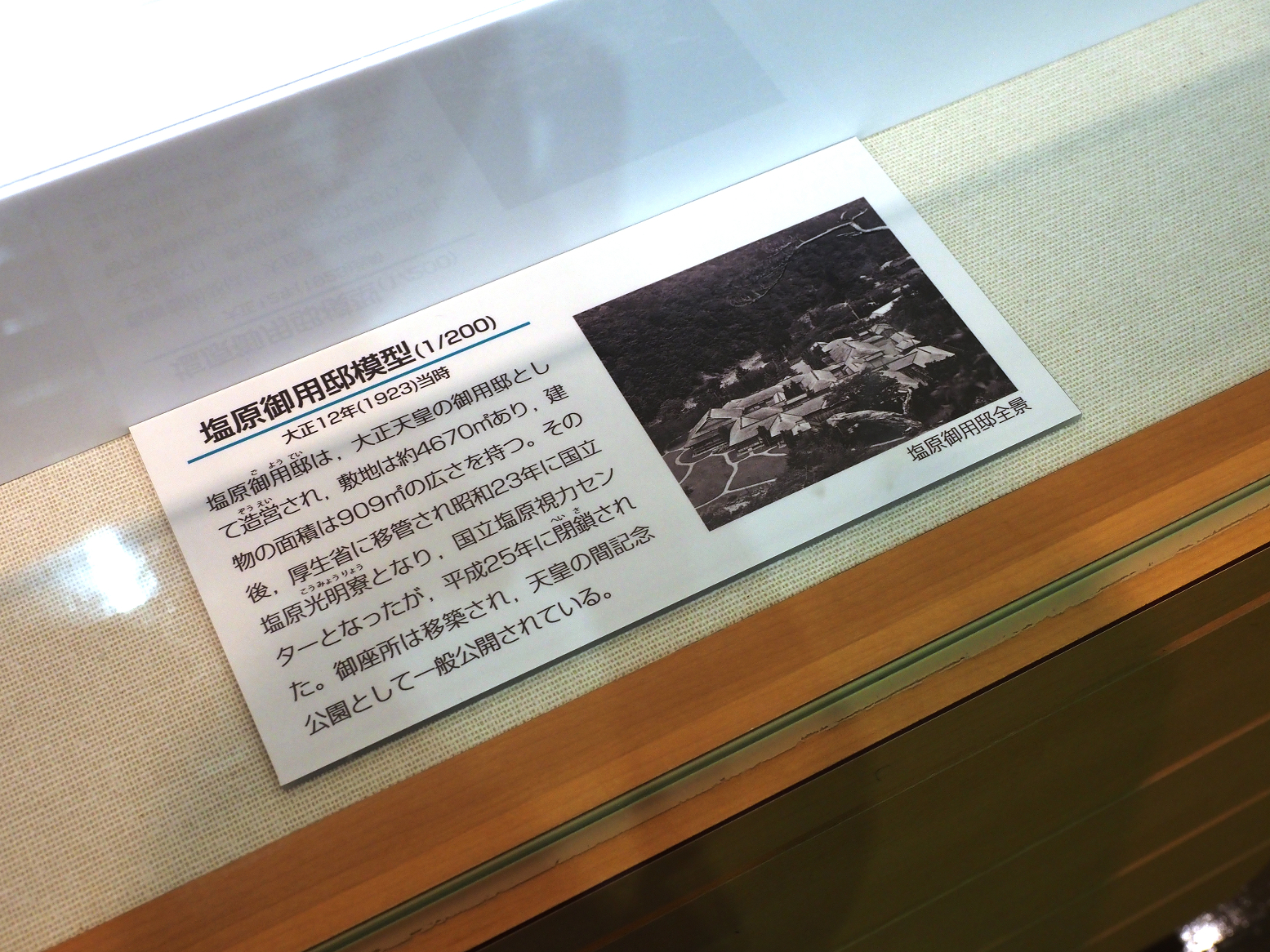 P8090049.jpg