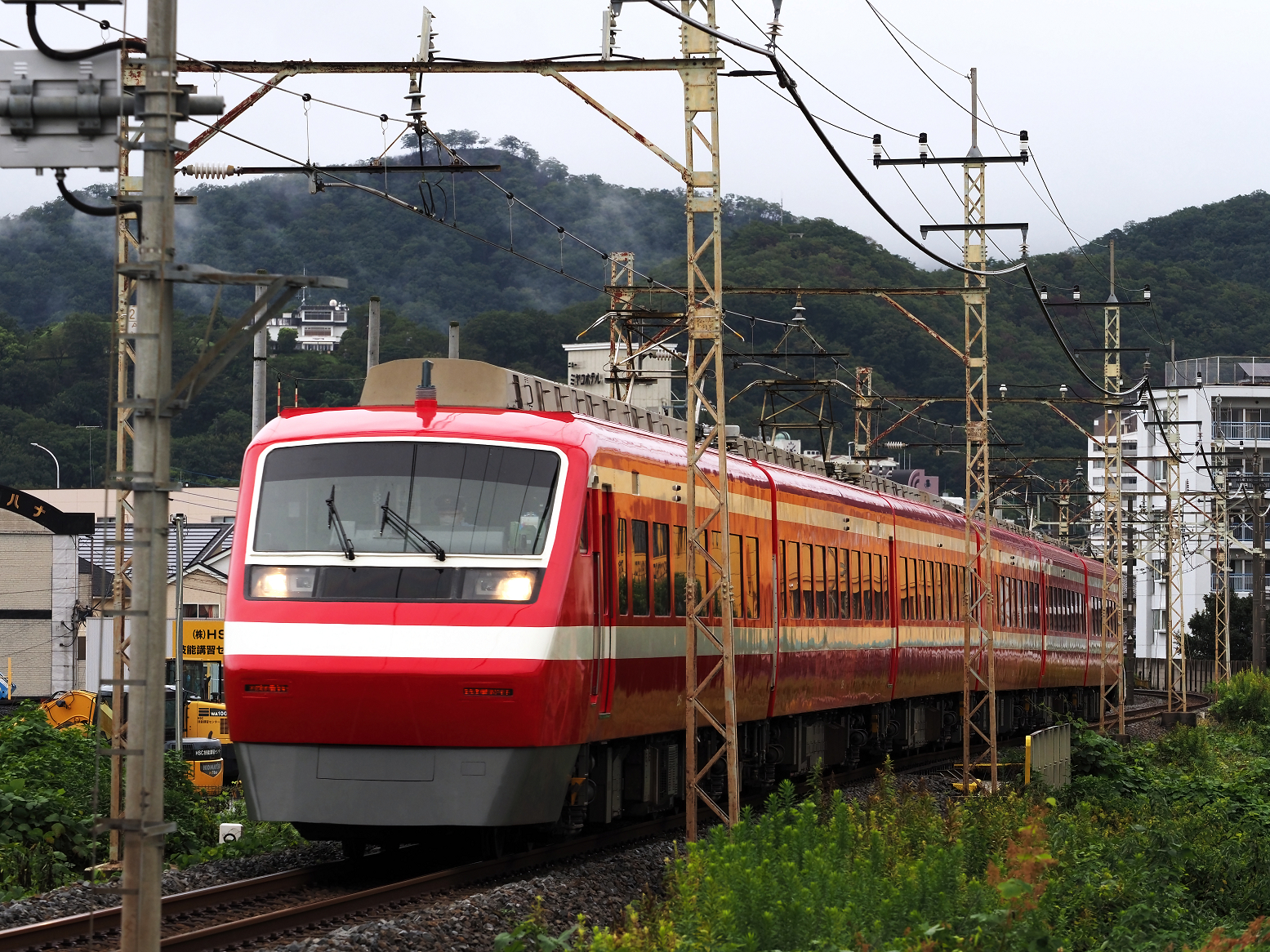 P8150013.jpg