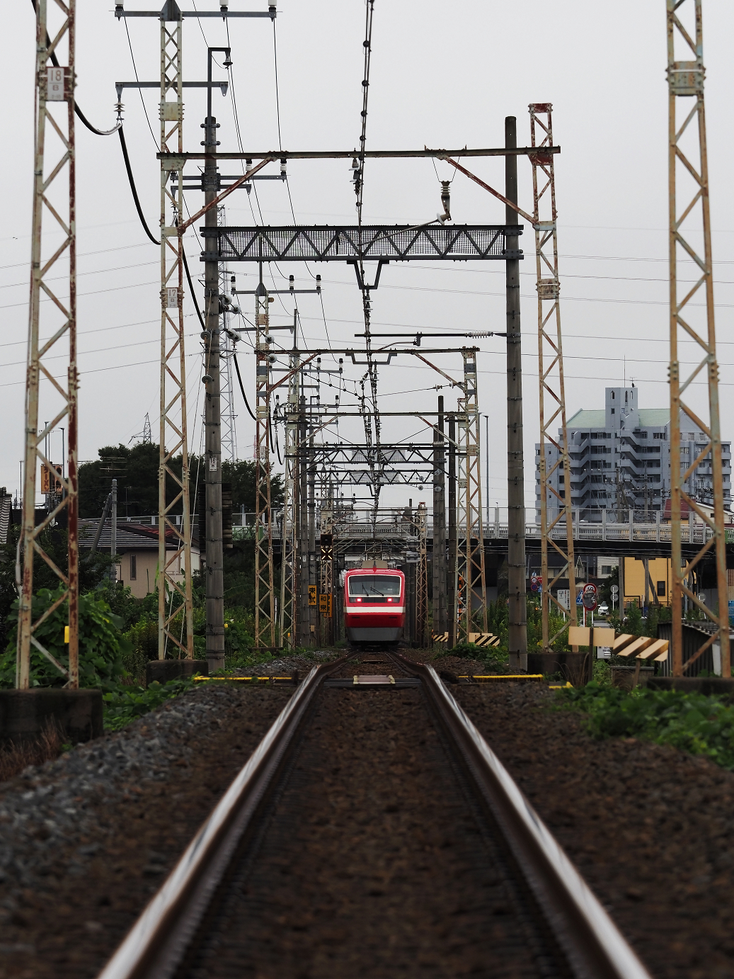 P8150060.jpg