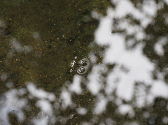 P8270033_thumb.png
