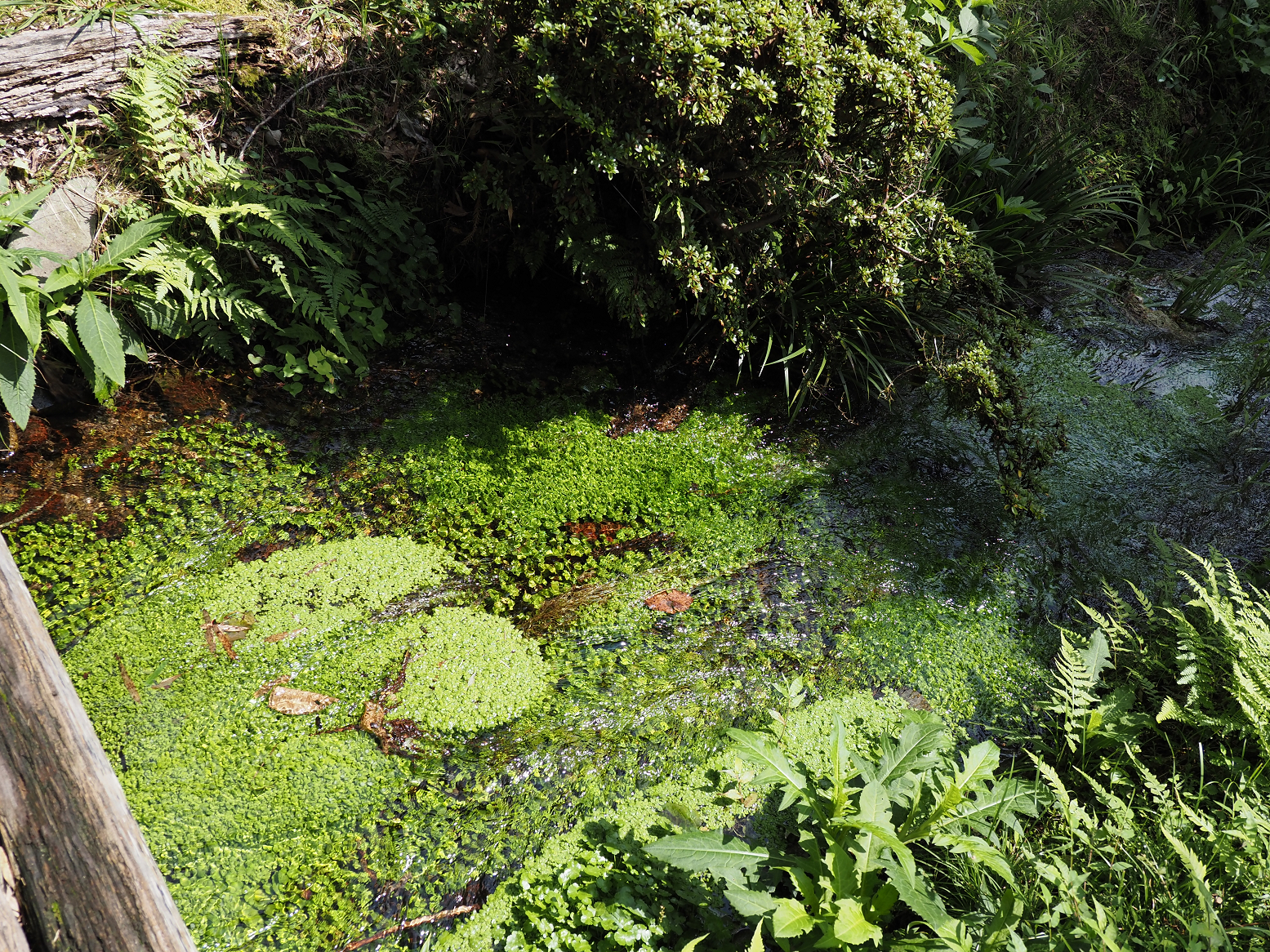 P8270041.jpg
