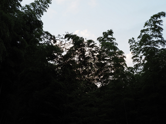 P8270135_thumb.png