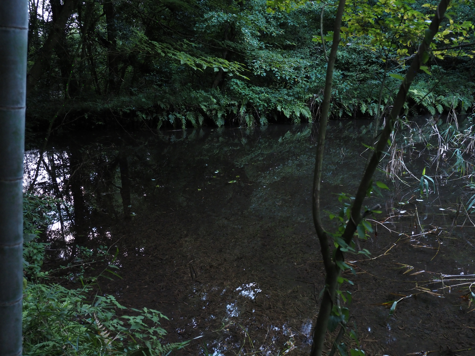 P8270160.jpg