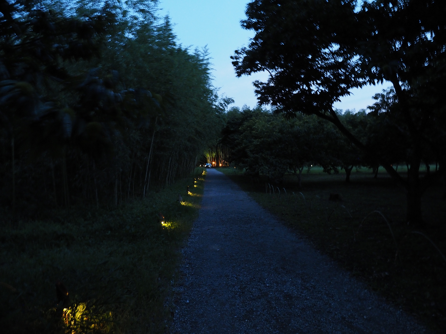 P8270170.jpg