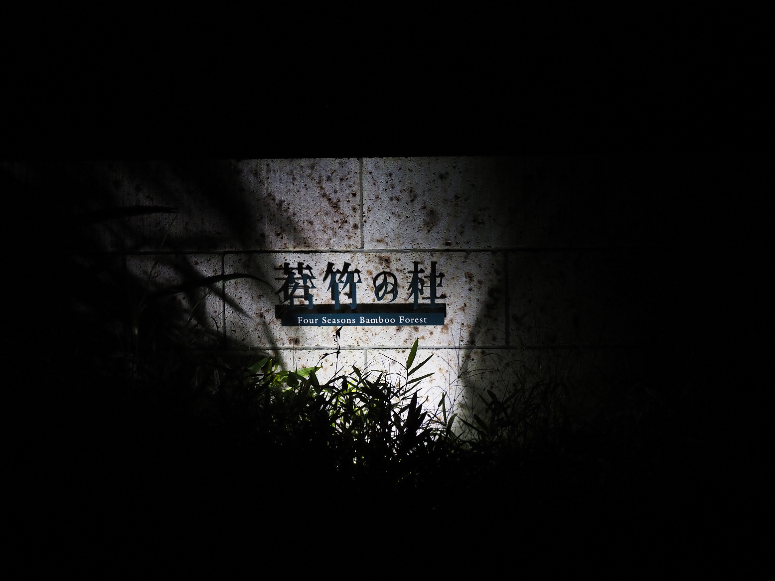 P8270264.jpg
