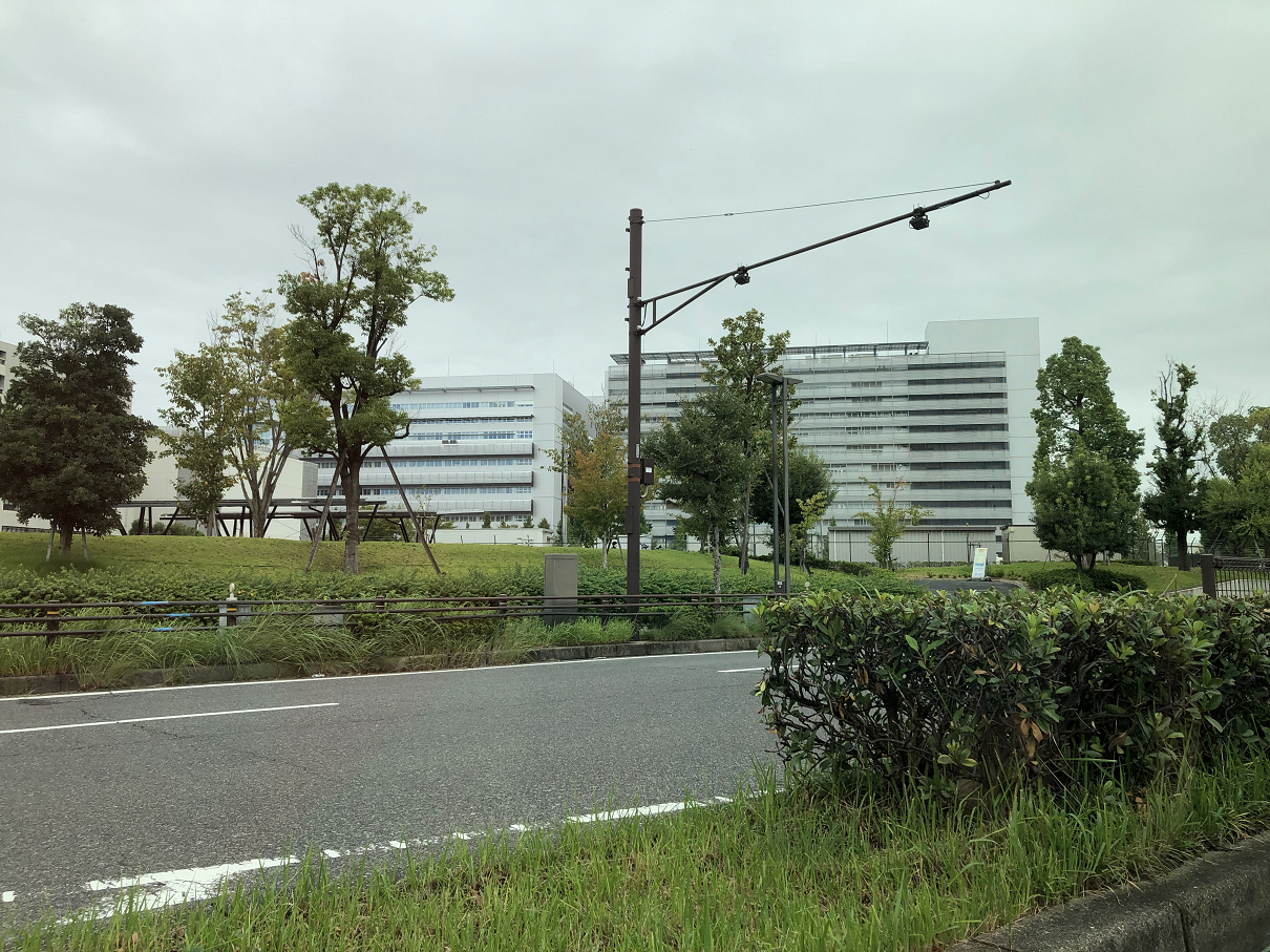 P9190093-38.jpg