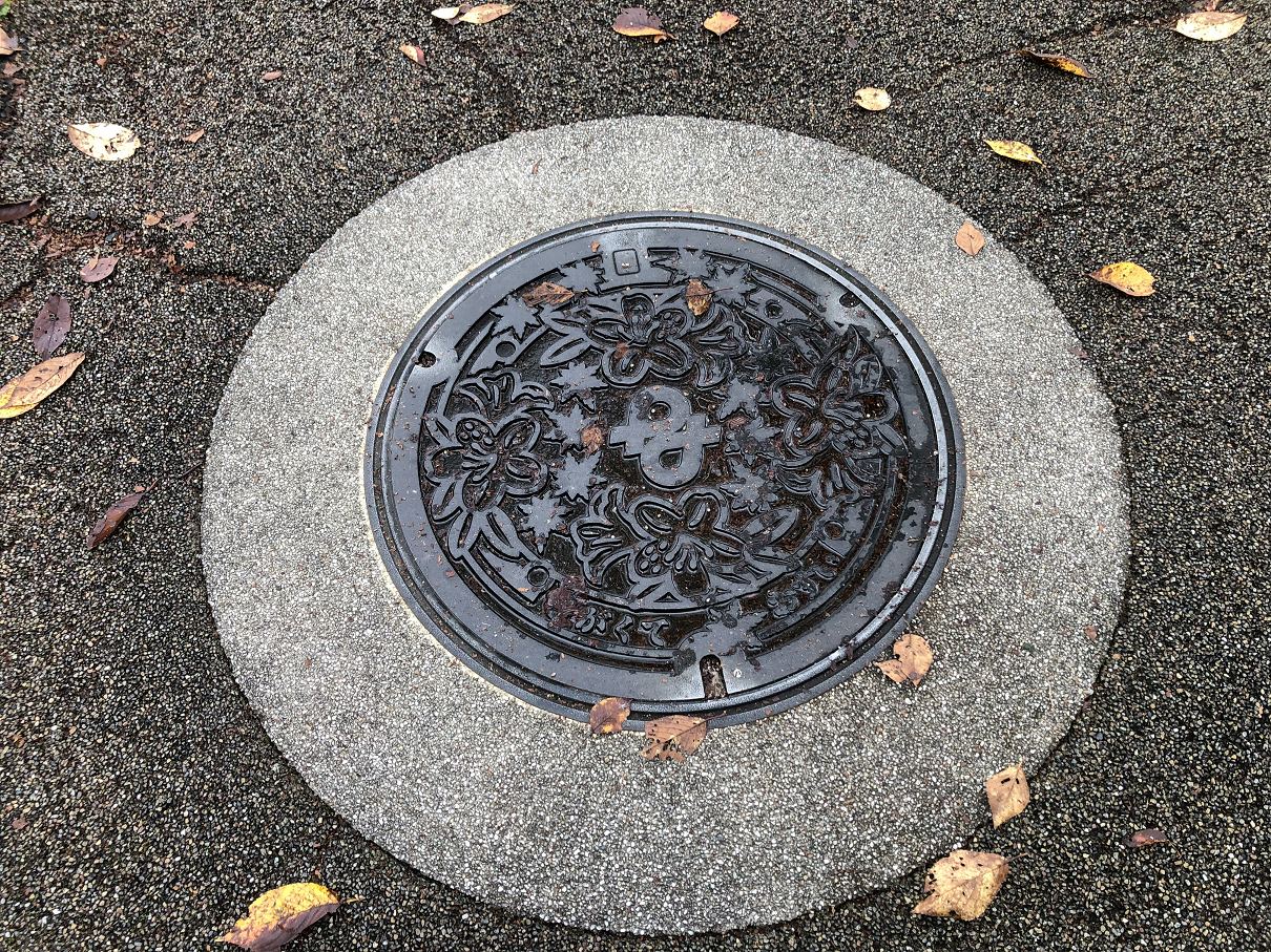 P9190093-47.jpg