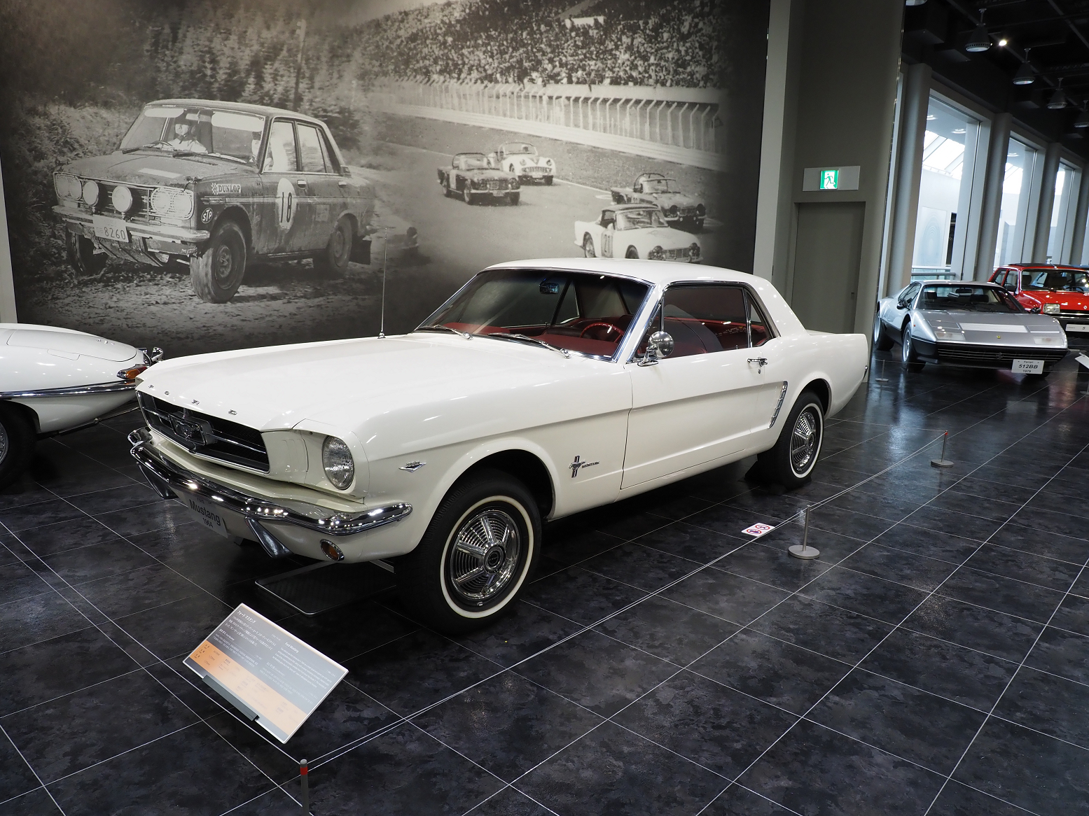 P9200449.jpg