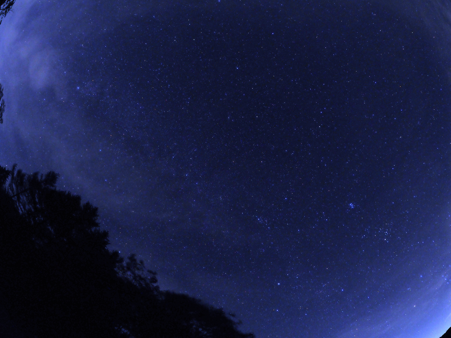 PA050006-.jpg