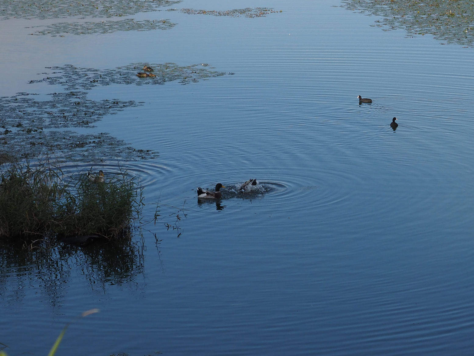 PA060014.jpg