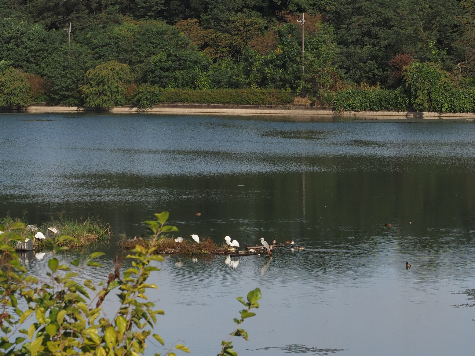 PA060016.jpg