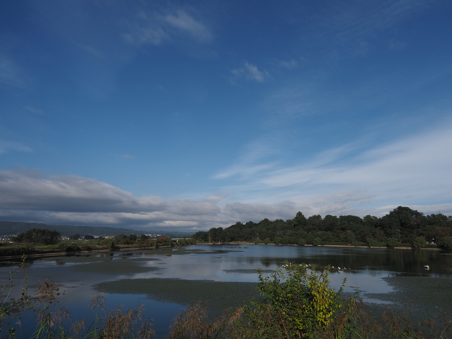 PA060017.jpg