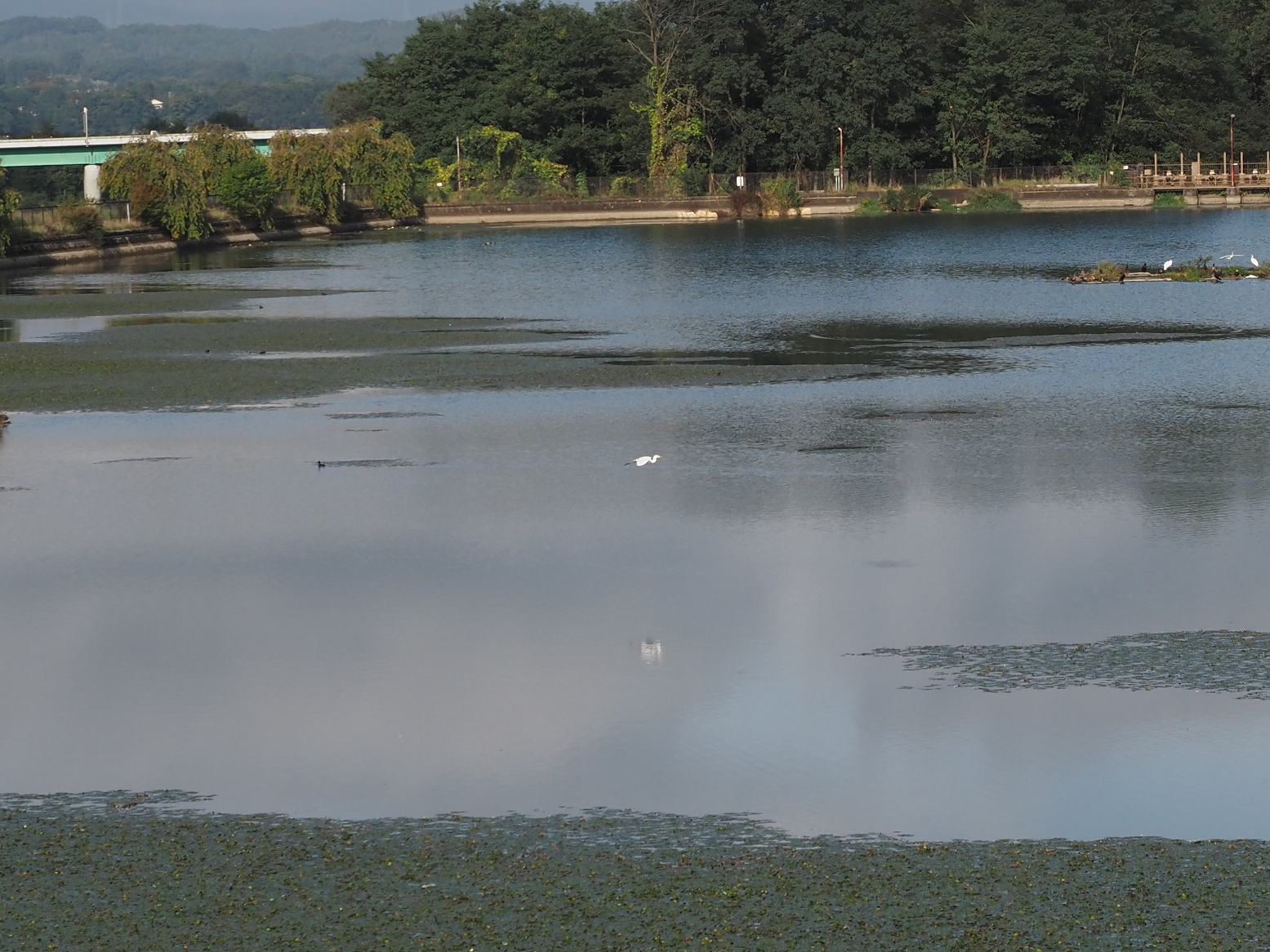 PA060019.jpg