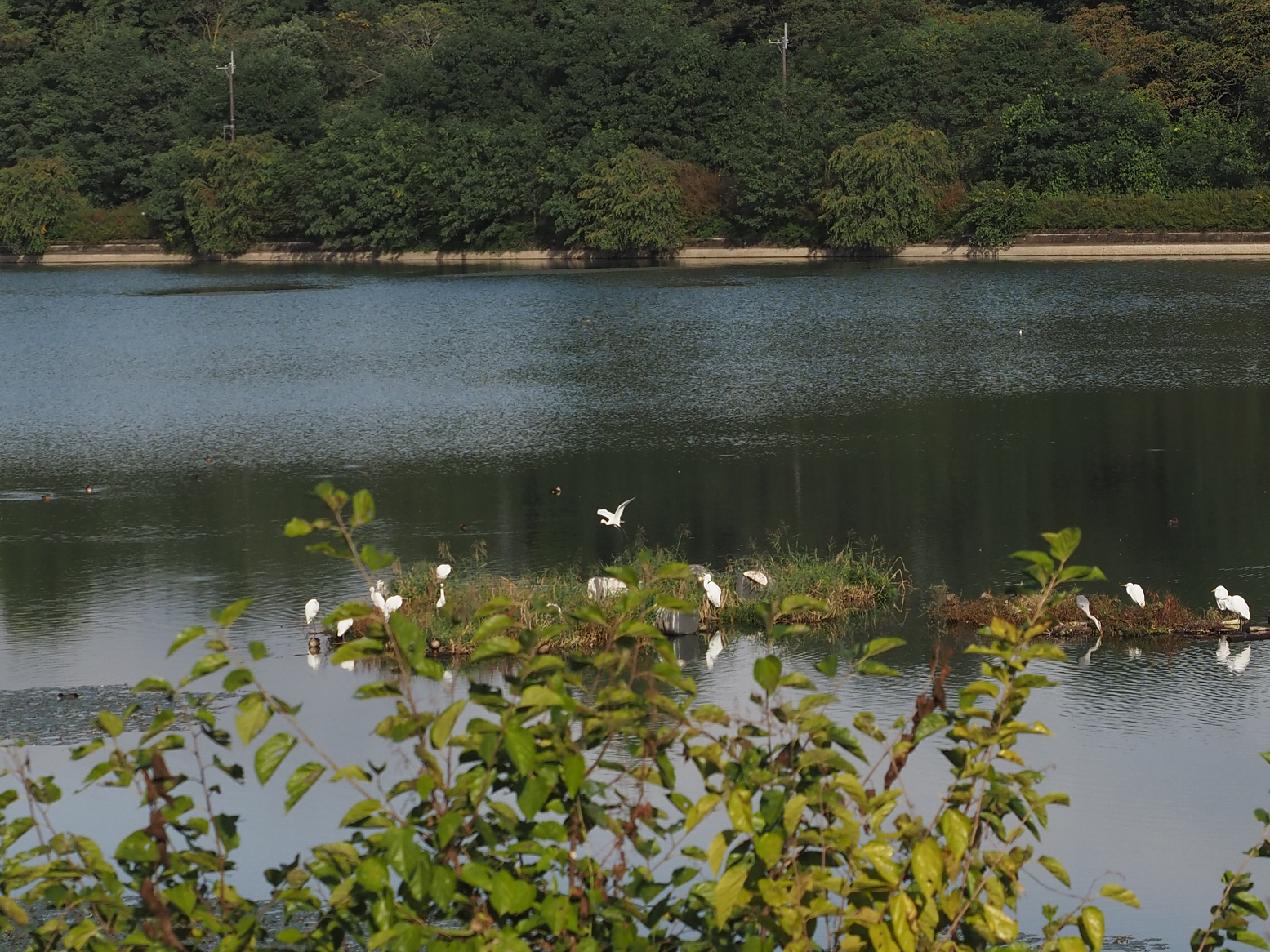 PA060020.jpg