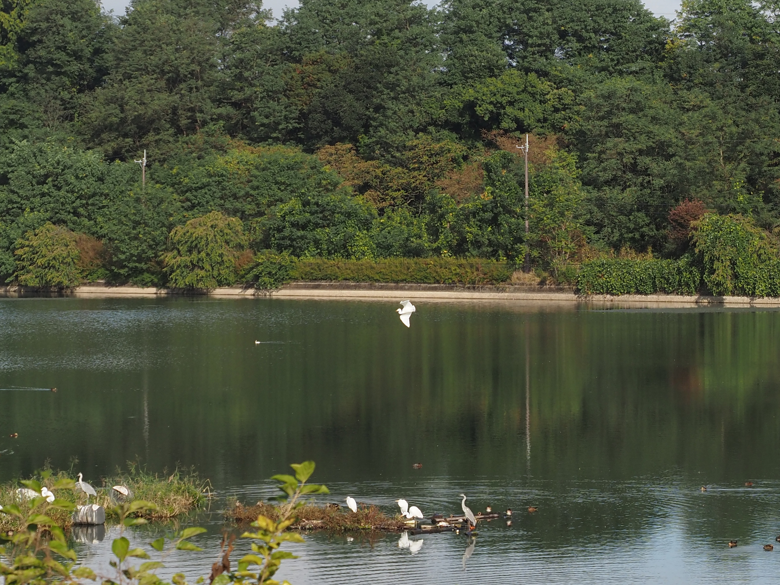 PA060022.jpg