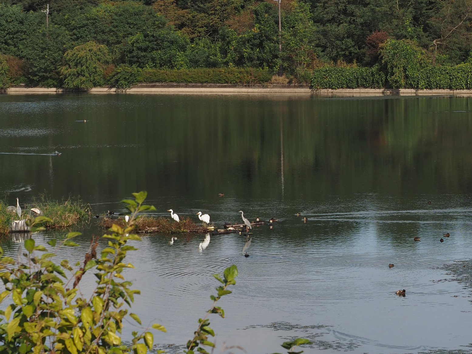 PA060023.jpg