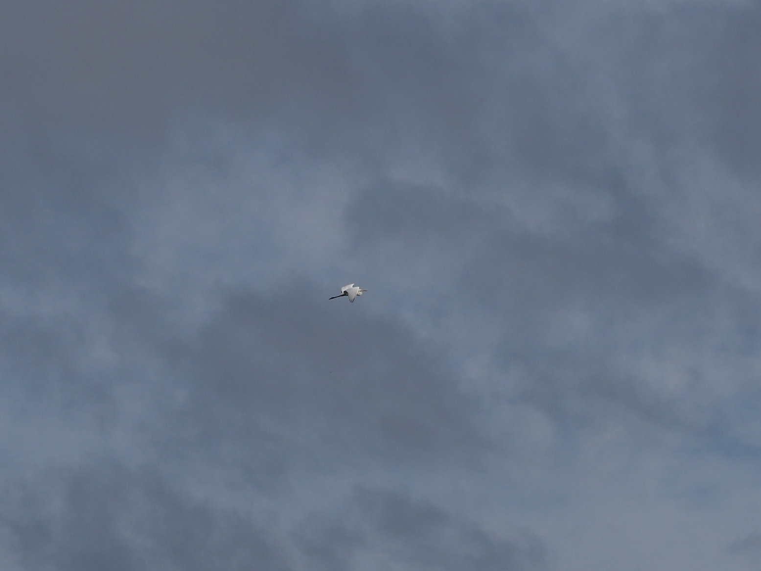 PA060024.jpg