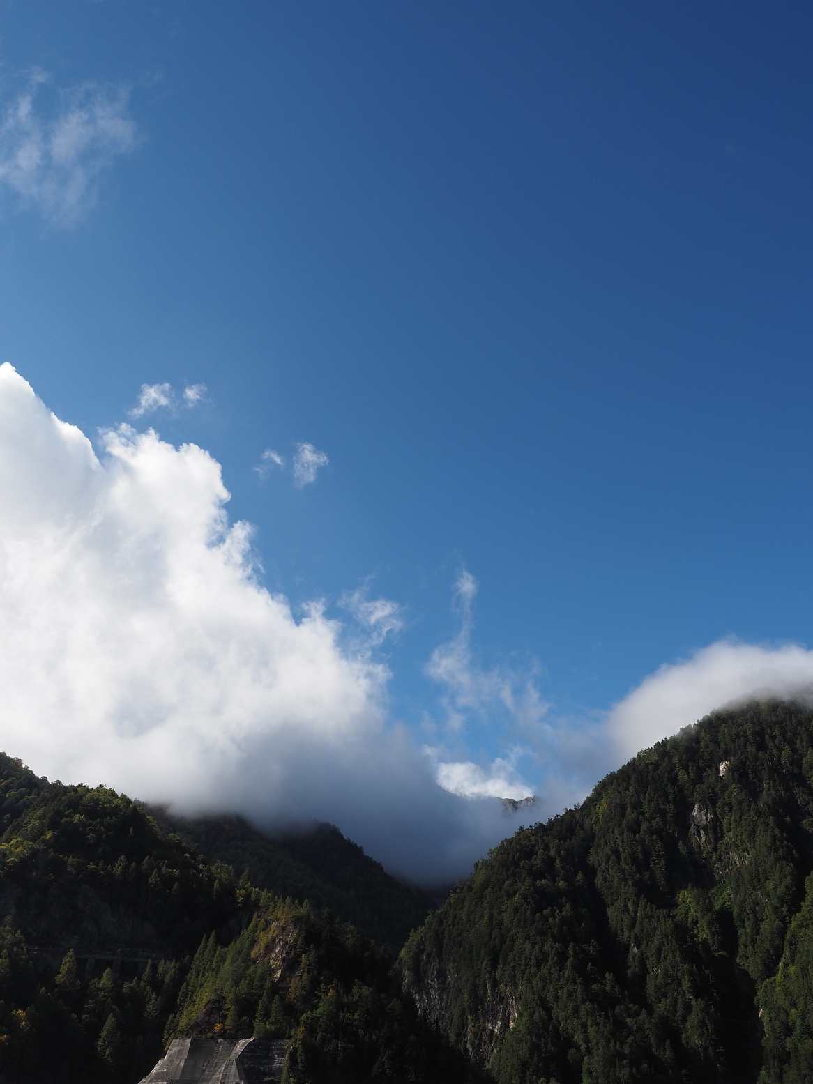 PA060101.jpg
