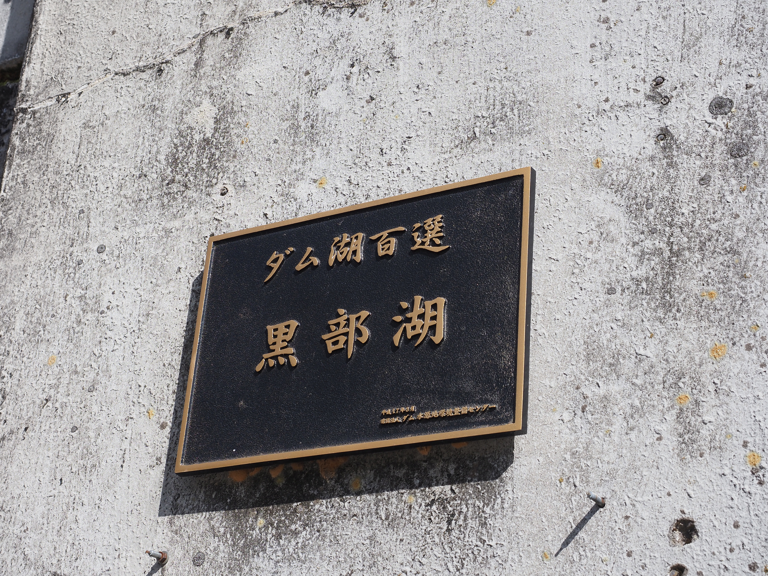 PA060108.jpg