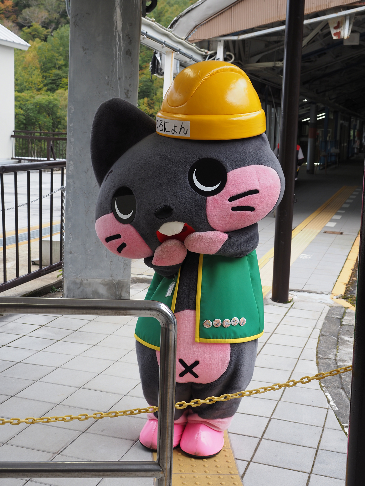 PA060117.jpg