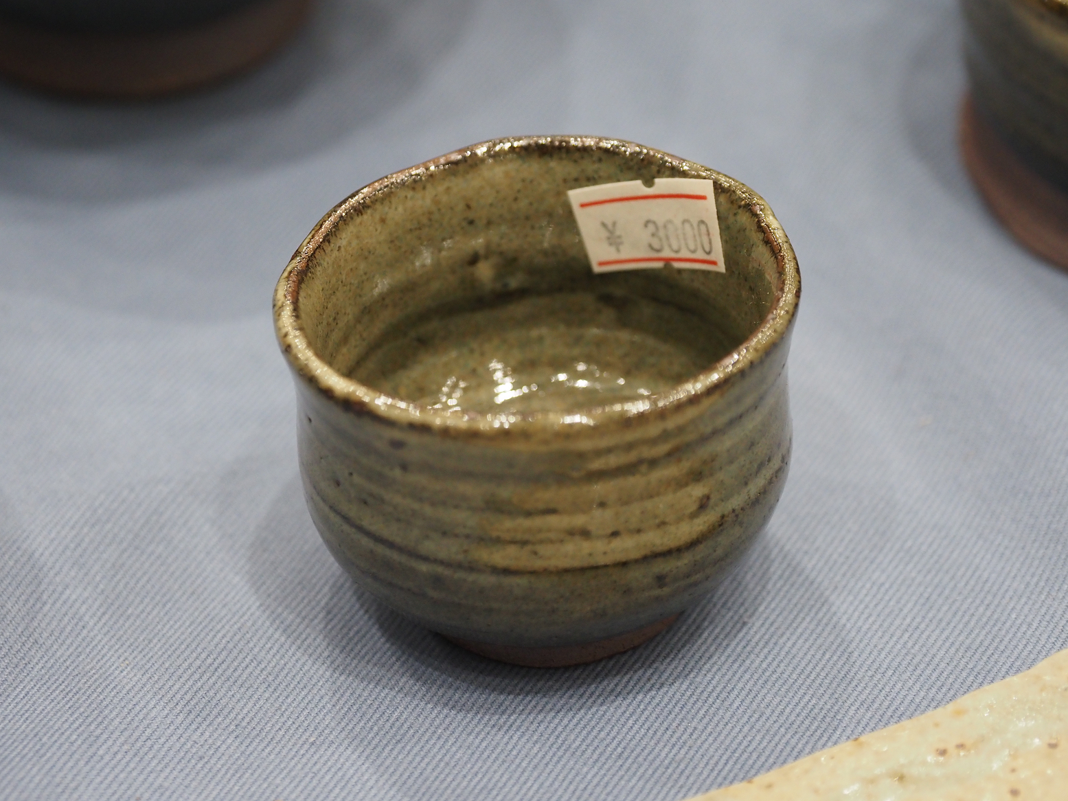PA100072.jpg