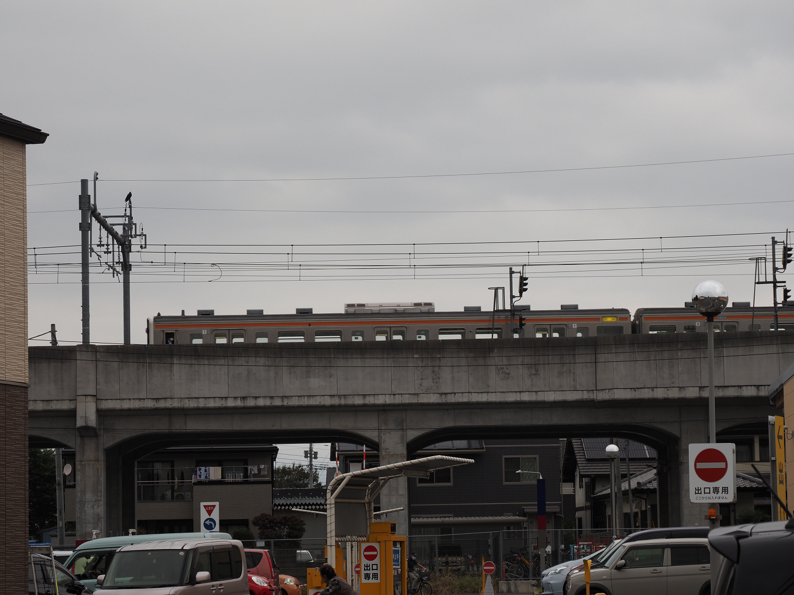 PA100129.jpg
