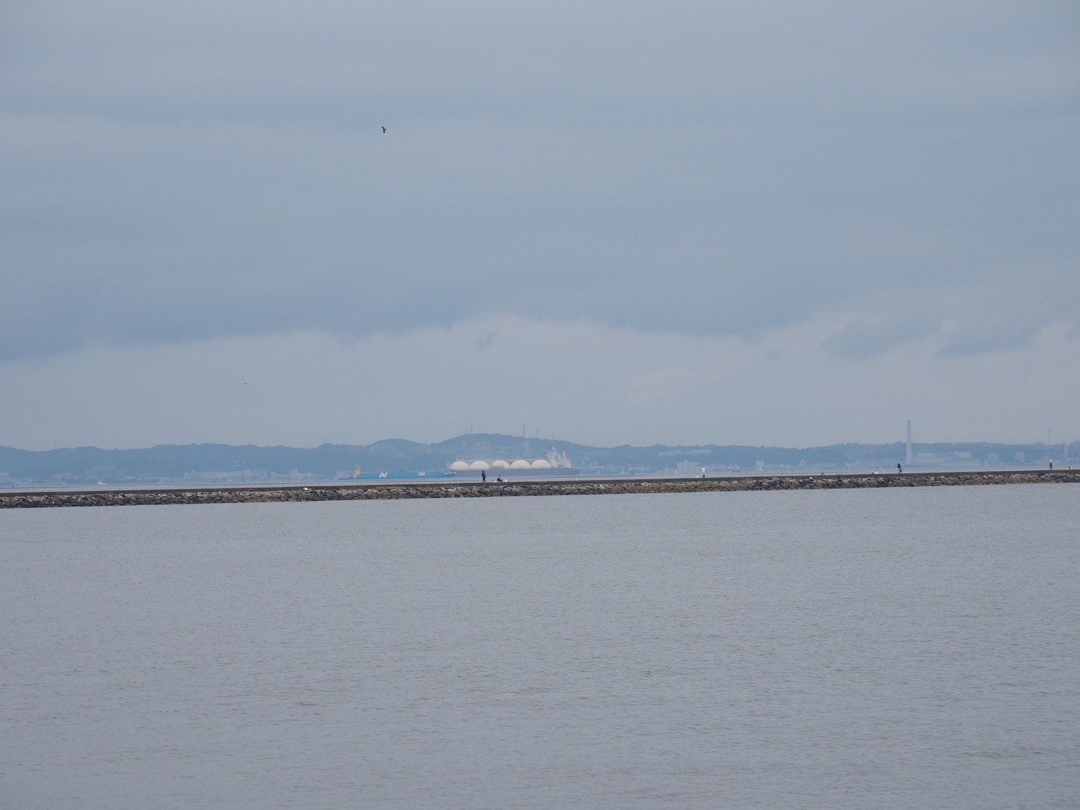 PA160043.jpg