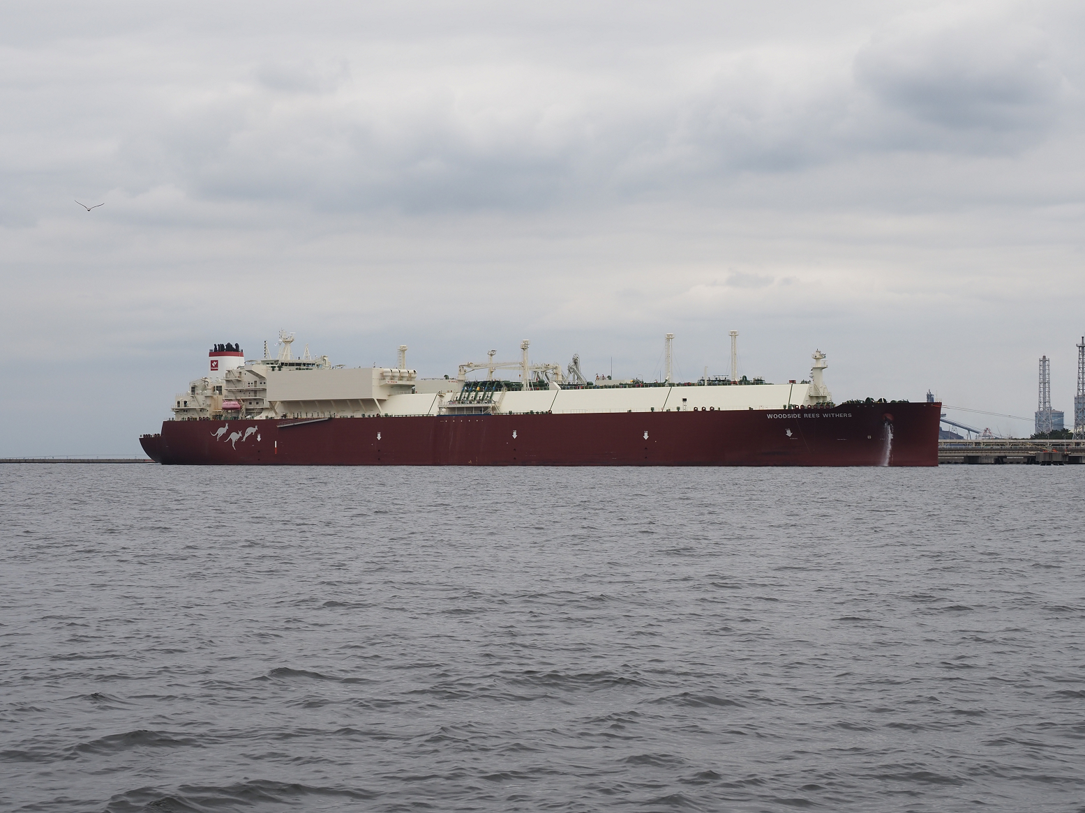 PA160066.jpg