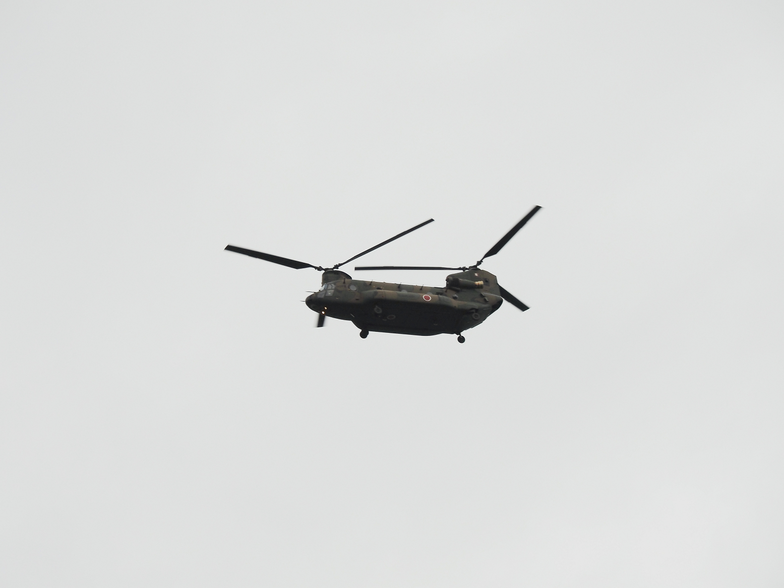 PA160101.jpg