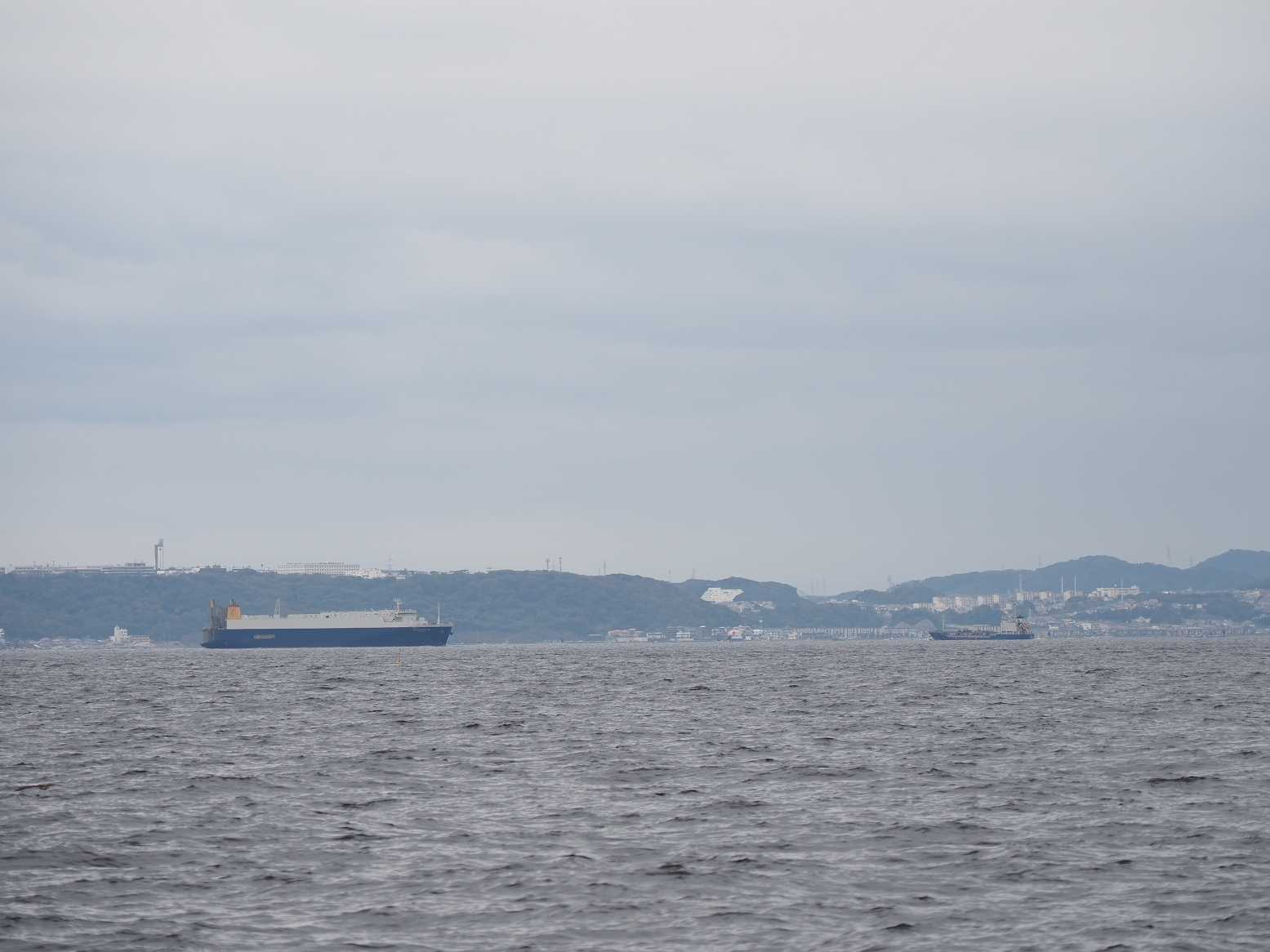 PA160115.jpg