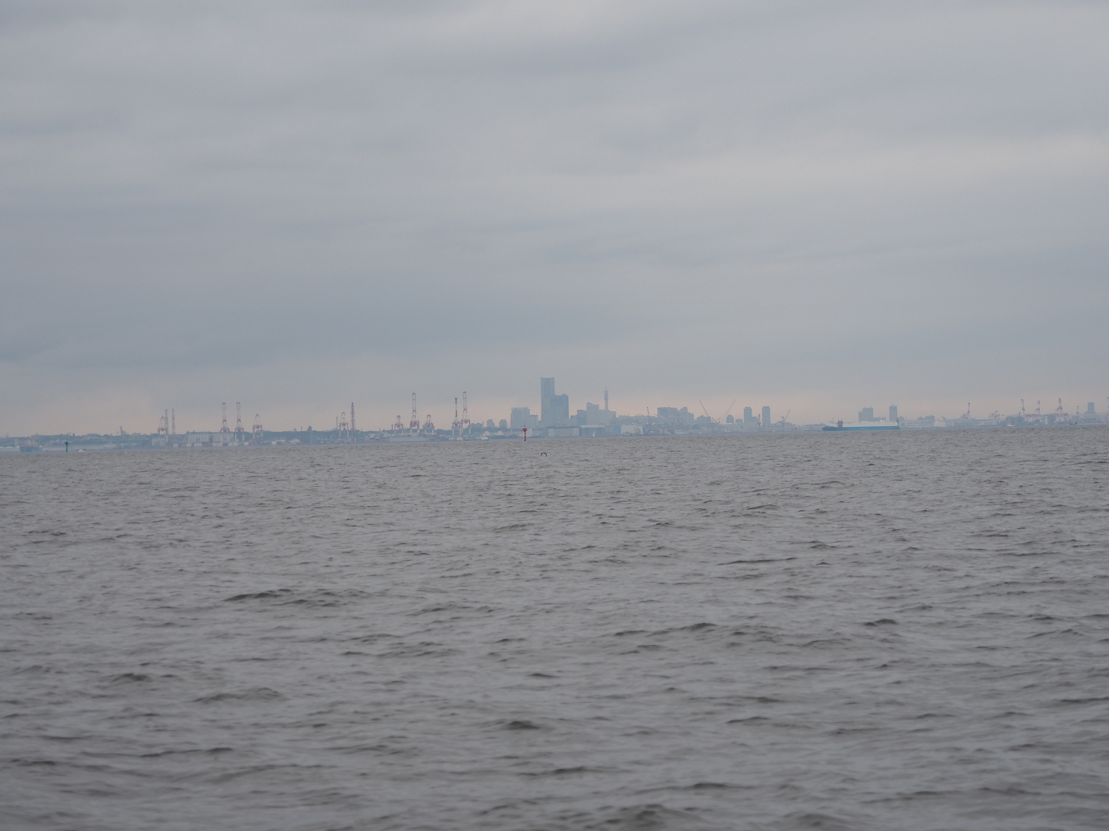 PA160117.jpg